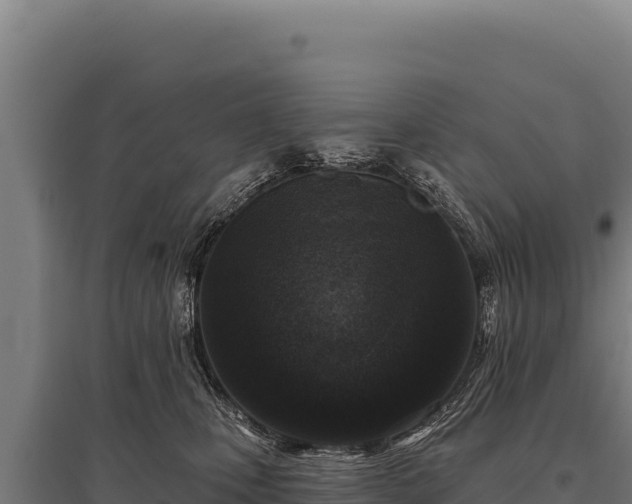 X0000095960471200801181449