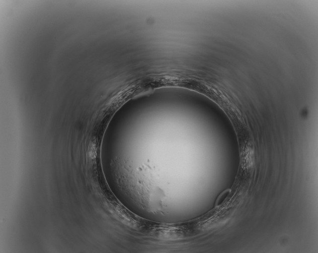 X0000095960472200801181449