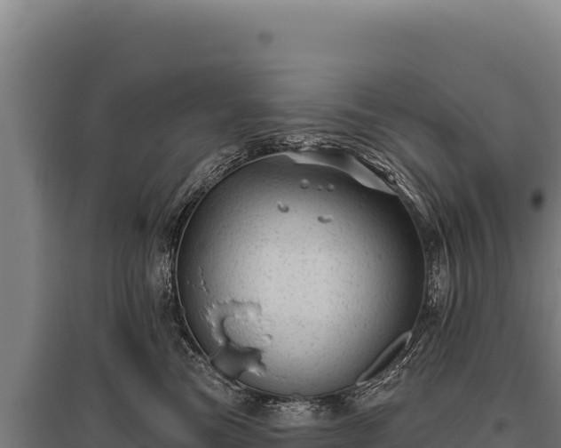 X0000095960473200801181449