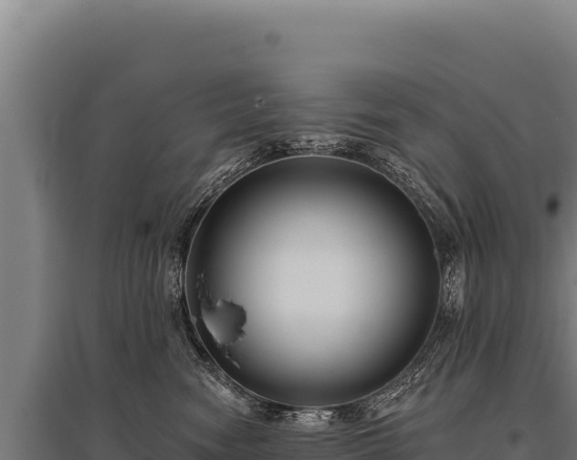 X0000095960474200801181449