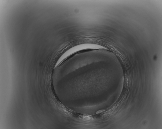 X0000095960475200801181449