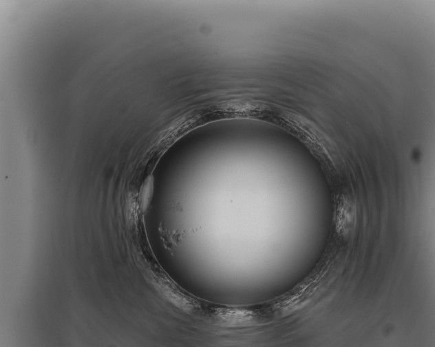 X0000095960476200801181449