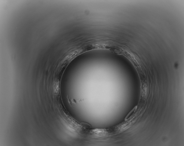 X0000095960477200801181449