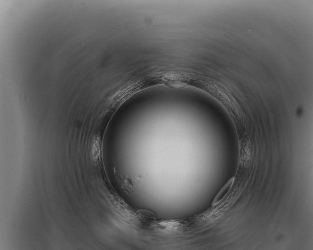 X0000095960478200801181449