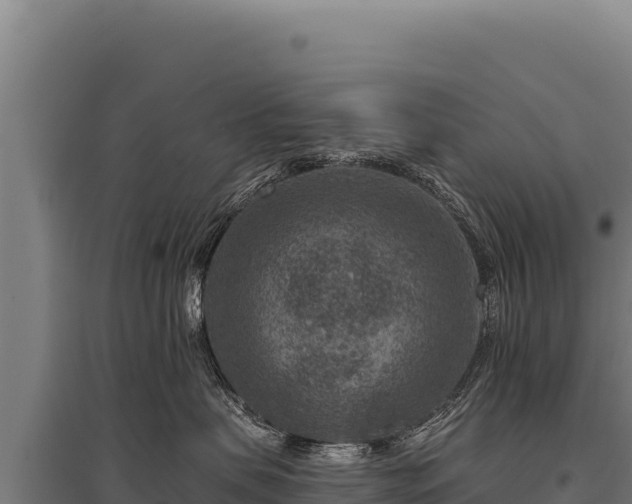 X0000095960479200801181449