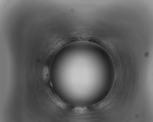 X0000095960480200801181449