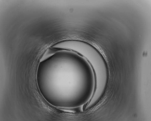 X0000095960481200801181449