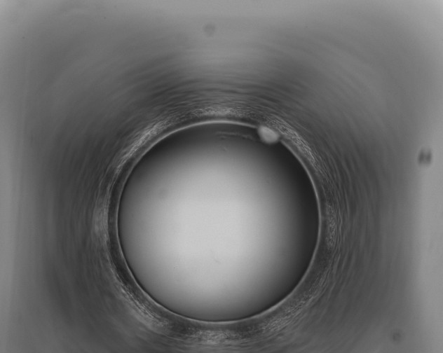 X0000095960482200801181449