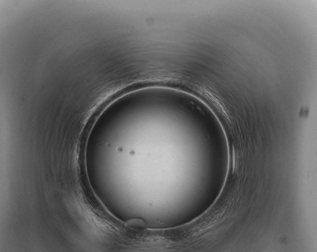 X0000095960483200801181449