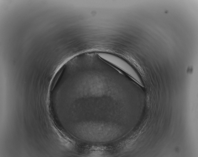 X0000095960484200801181449