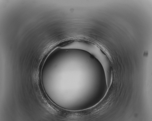 X0000095960485200801181449