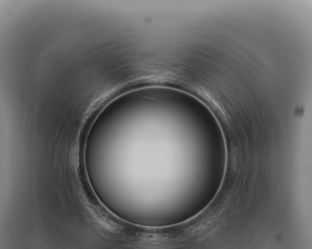 X0000095960486200801181449