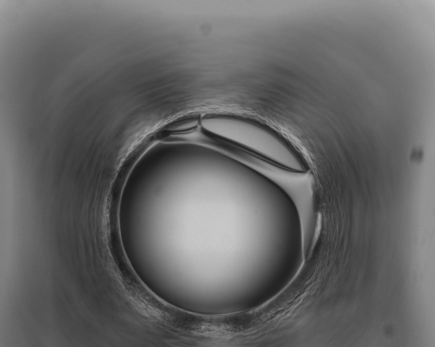 X0000095960487200801181449