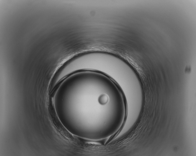 X0000095960488200801181449