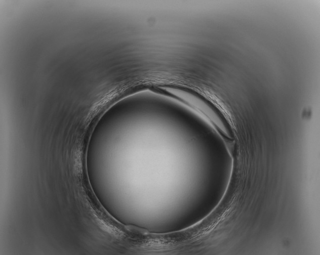 X0000095960489200801181449