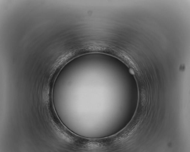 X0000095960490200801181449