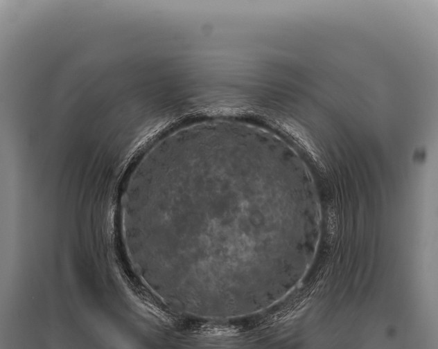 X0000095960491200801181448