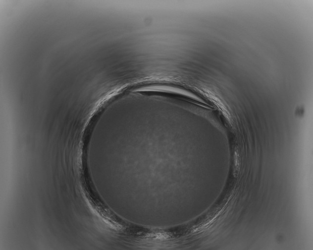 X0000095960492200801181448