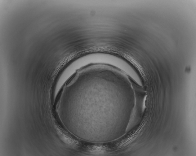 X0000095960493200801181448