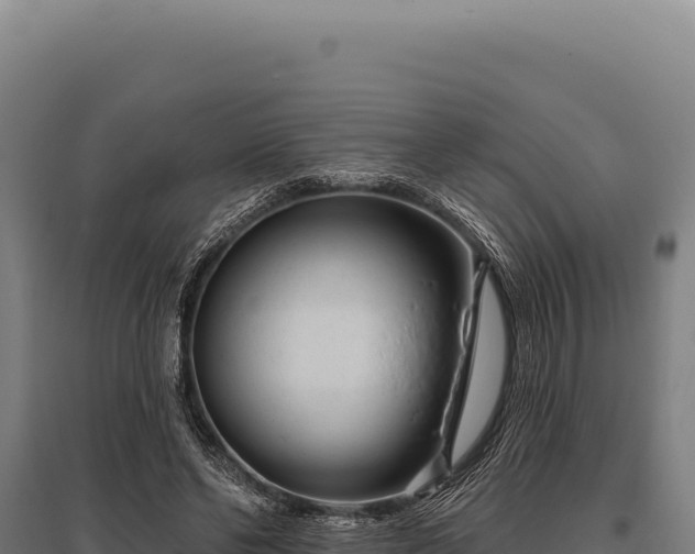 X0000095960494200801181448