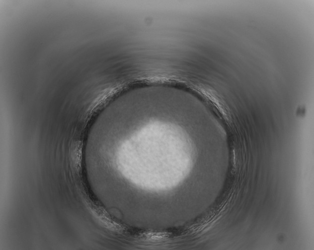 X0000095960495200801181448