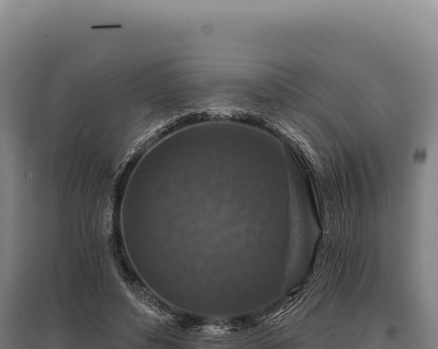 X0000095960496200801181448