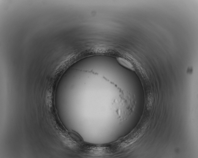 X0000095960497200801181448