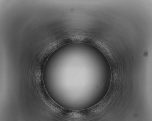 X0000095960498200801181448