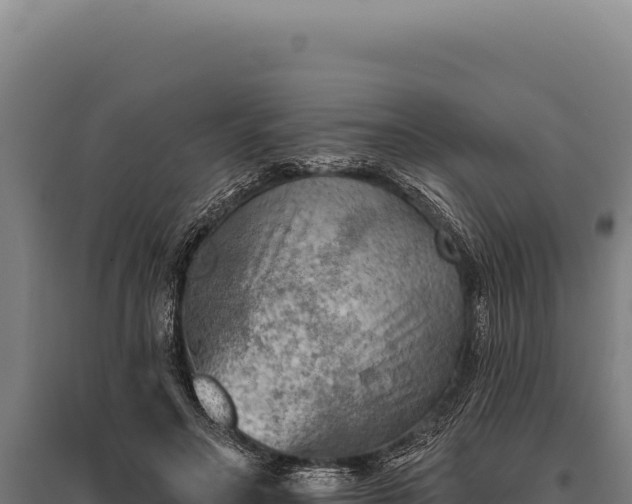 X0000095960499200801181448