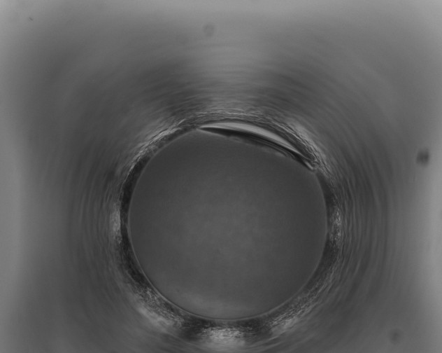 X0000095960500200801181448