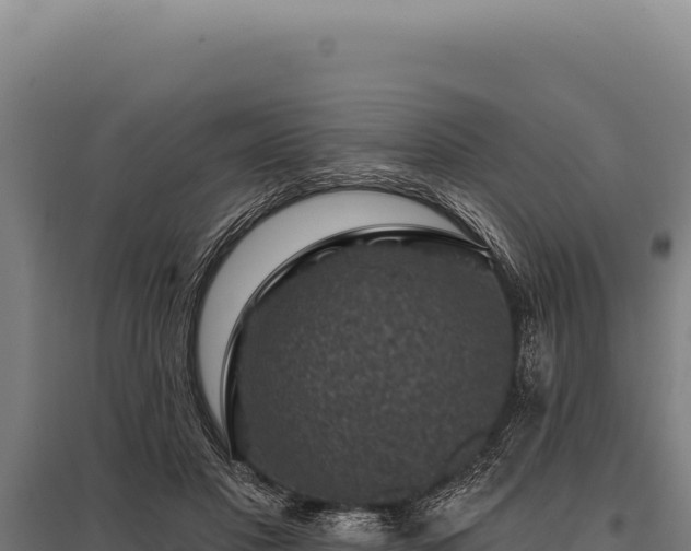 X0000095960501200801181448