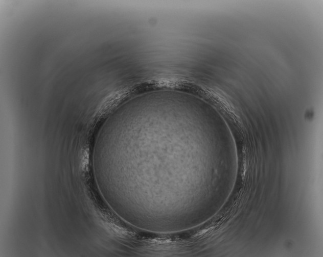 X0000095960502200801181448