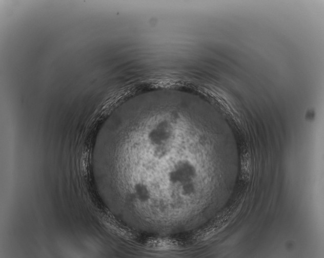 X0000095960503200801181448