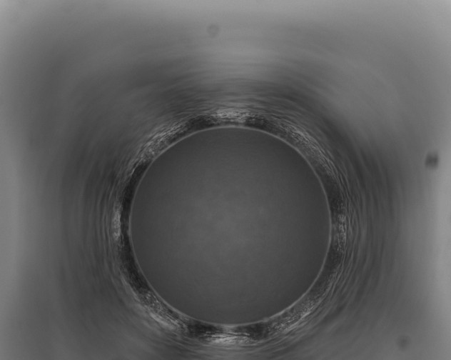 X0000095960504200801181448