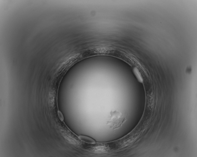 X0000095960505200801181448