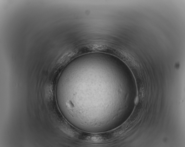 X0000095960506200801181448