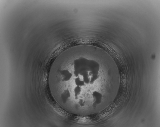 X0000095960507200801181448