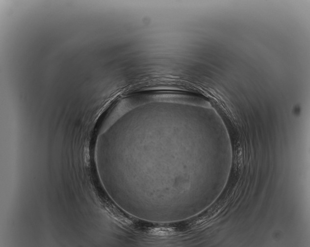 X0000095960508200801181448