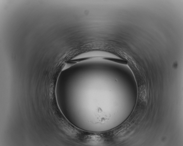 X0000095960509200801181448