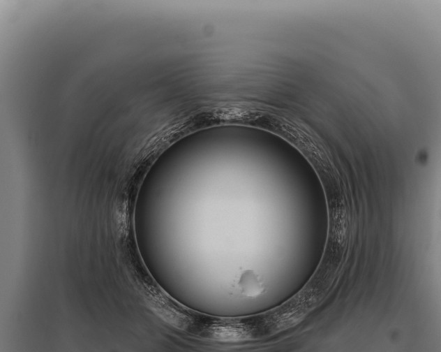 X0000095960510200801181448