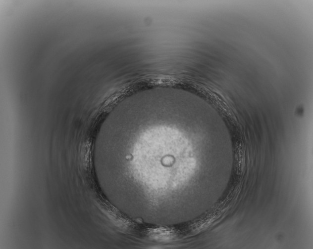 X0000095960511200801181448