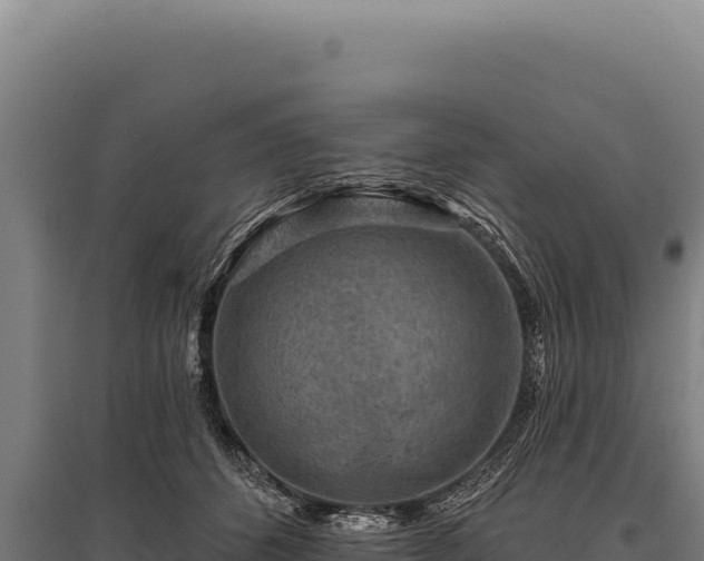 X0000095960512200801181448