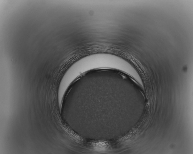 X0000095960513200801181448