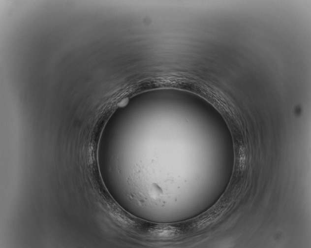 X0000095960514200801181448