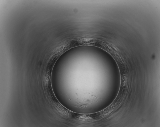 X0000095960515200801181448