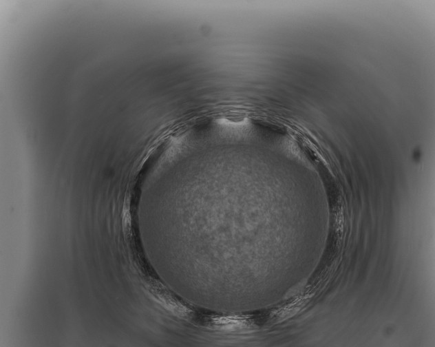 X0000095960516200801181448