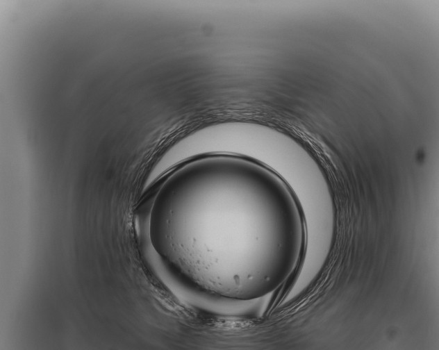 X0000095960517200801181448