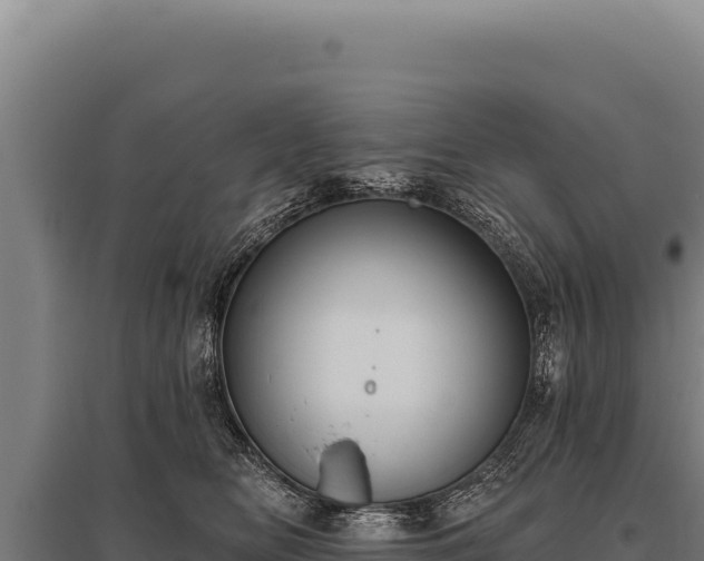 X0000095960518200801181448