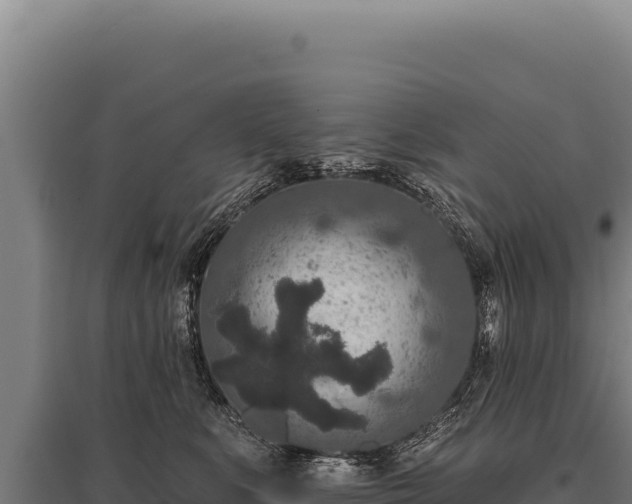 X0000095960519200801181448