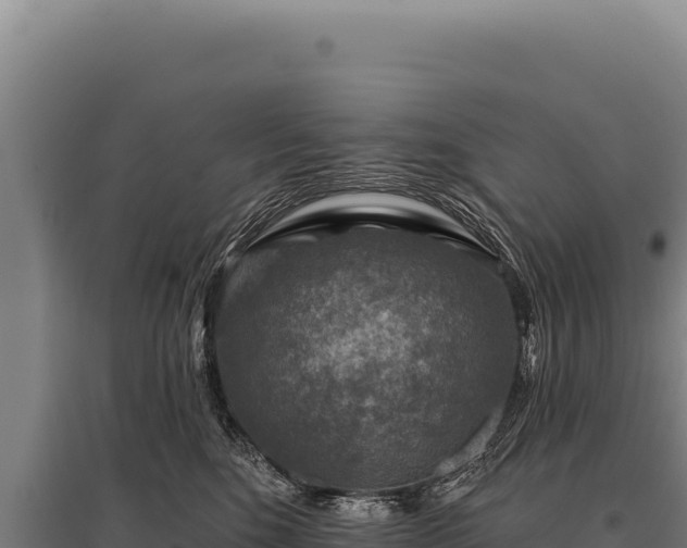 X0000095960520200801181448